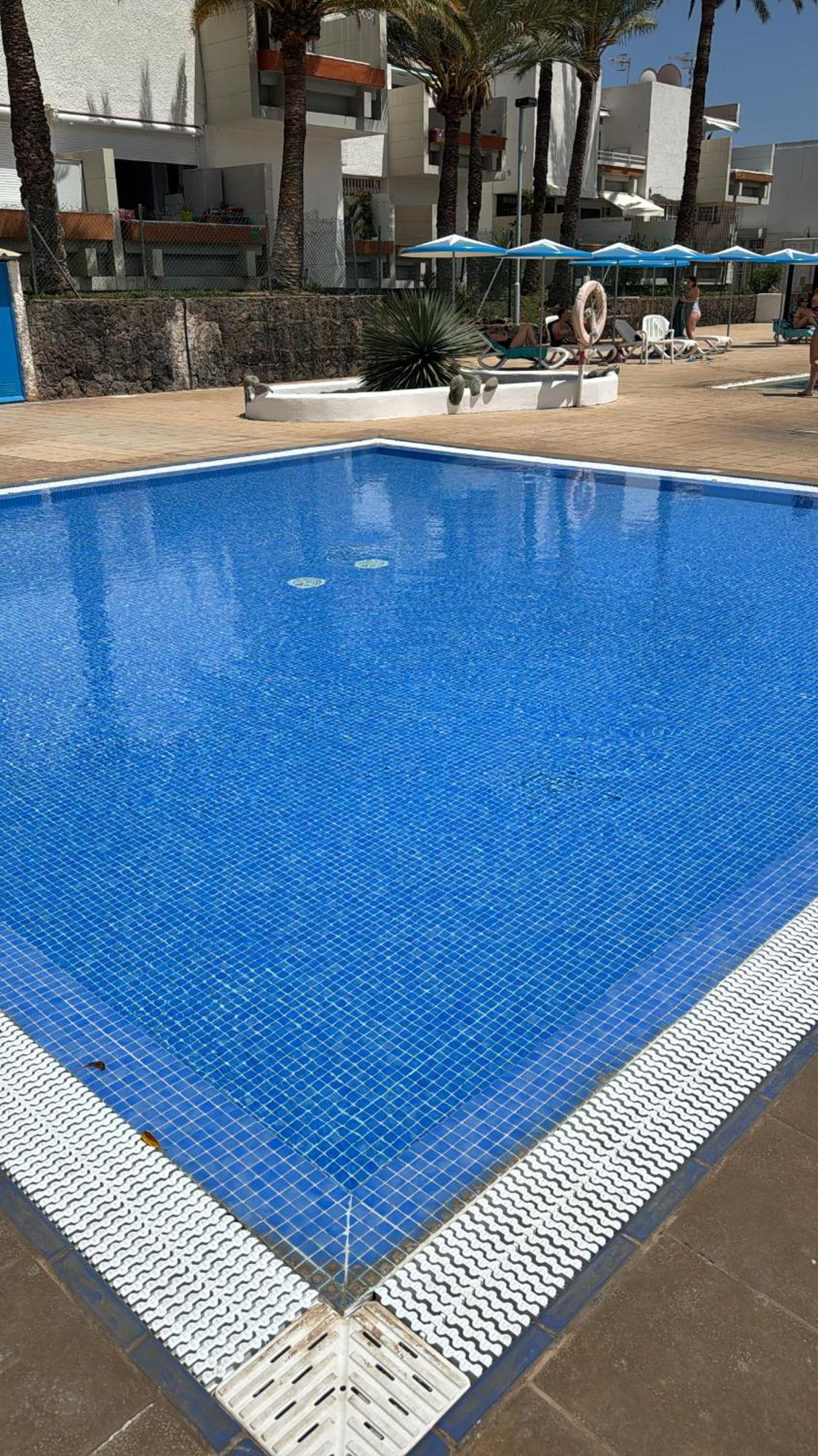 Tenerife Sunshine South Apartment Beach By La Ballena Арона Екстериор снимка
