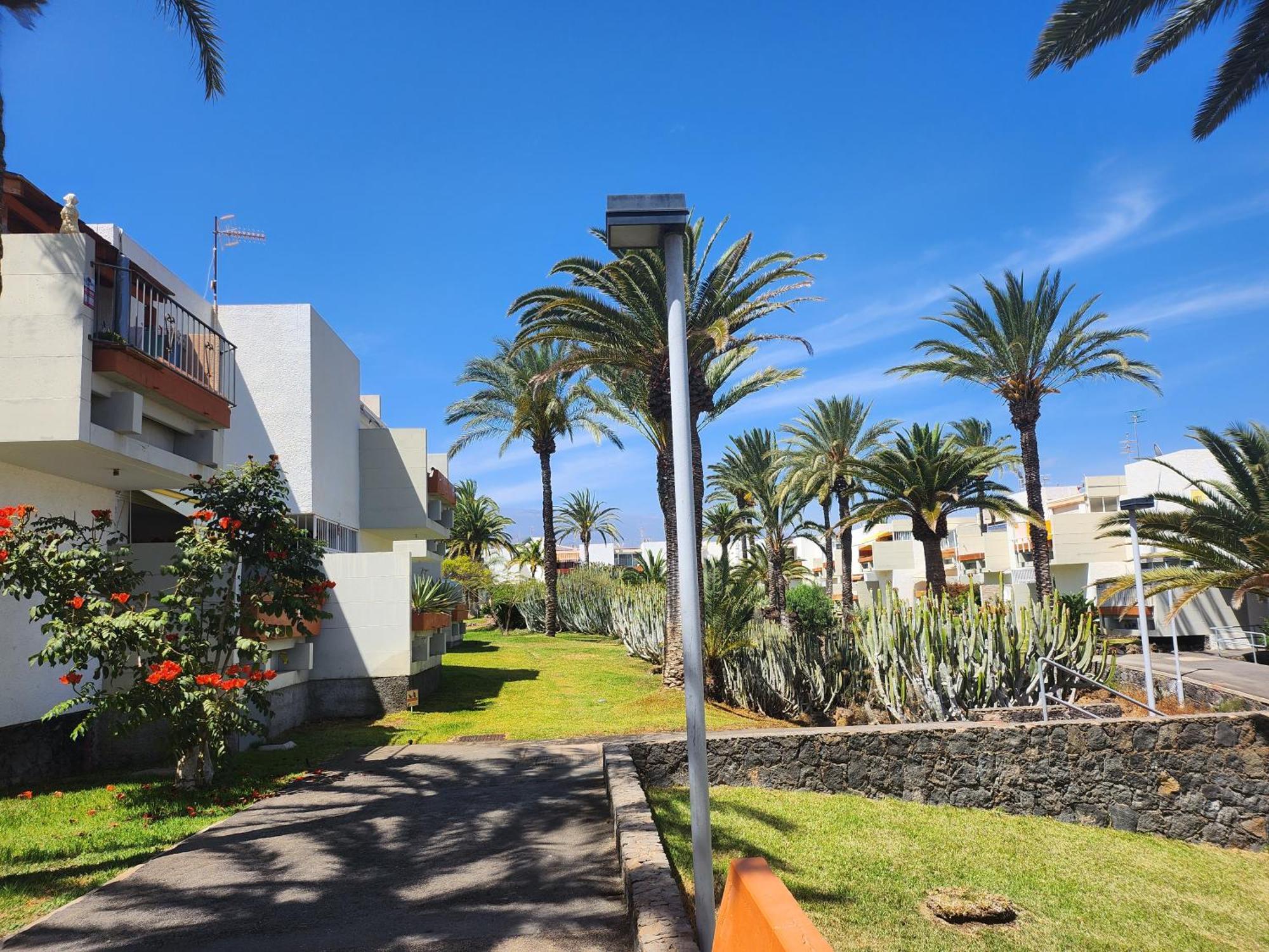 Tenerife Sunshine South Apartment Beach By La Ballena Арона Екстериор снимка