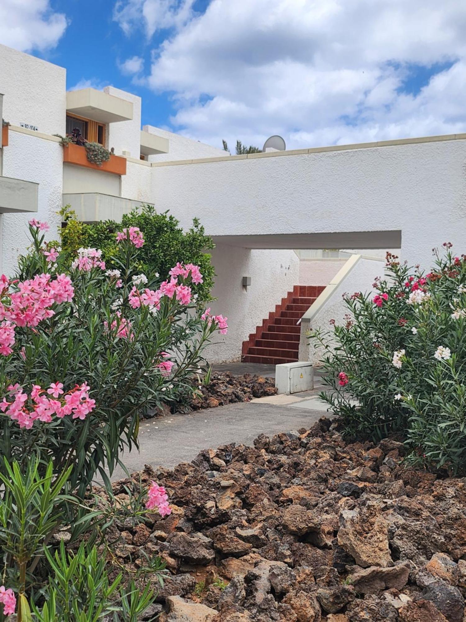 Tenerife Sunshine South Apartment Beach By La Ballena Арона Екстериор снимка