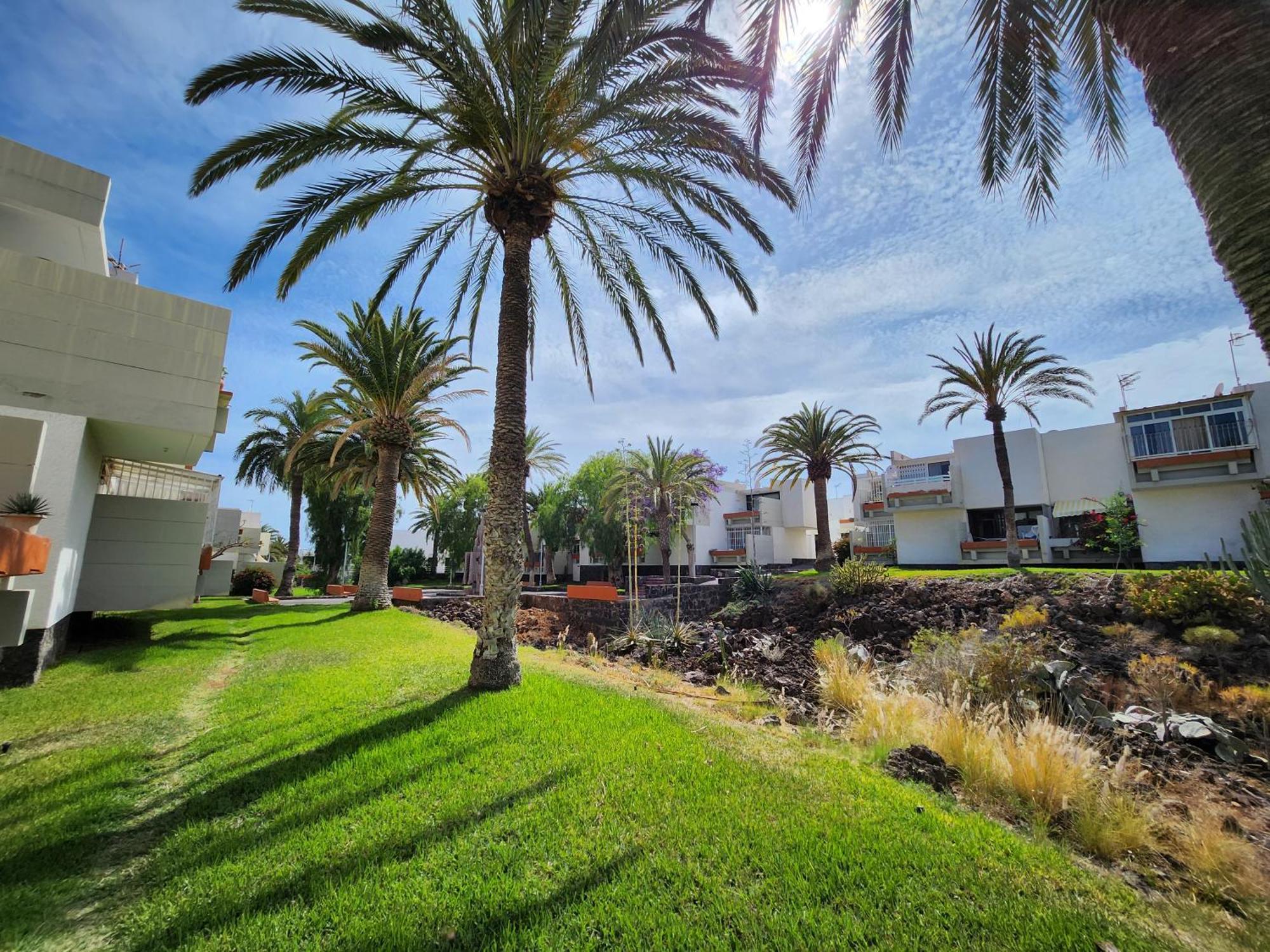Tenerife Sunshine South Apartment Beach By La Ballena Арона Екстериор снимка