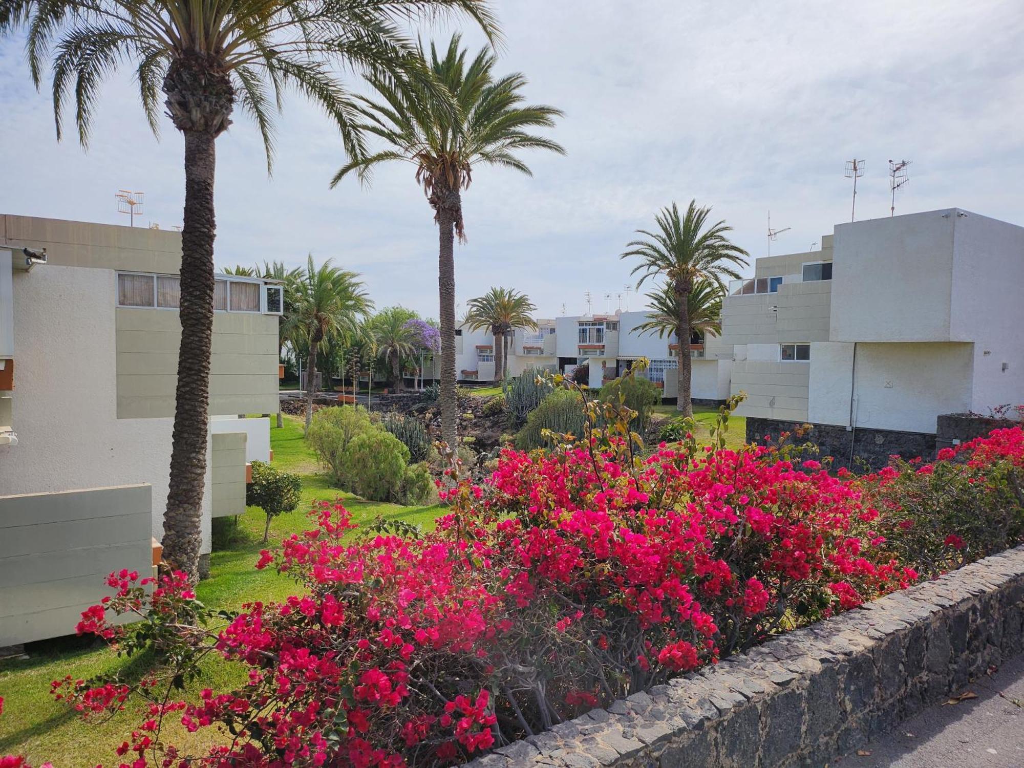 Tenerife Sunshine South Apartment Beach By La Ballena Арона Екстериор снимка